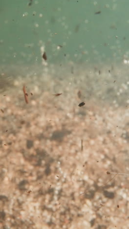 garbage parts float in river water with pebbles and air bubbles on bottom on chromakey background. studying life cycles of underwater ecosystem