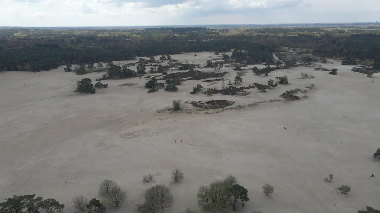 Vista aerea su bellissime dune di sabbia con alberi e una foresta verde sullo sfondo