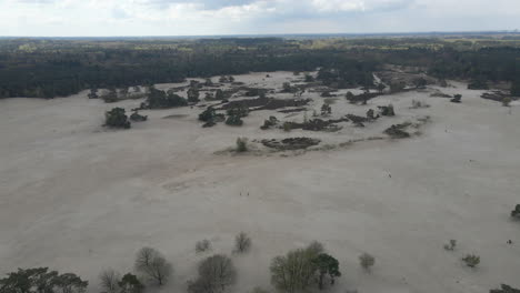 Antenne-über-Schöne-Sanddünen-Mit-Bäumen-Und-Einem-Grünen-Wald-Im-Hintergrund