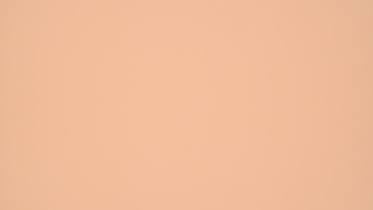 las ramas de pino aparecen en la parte superior e inferior del tema naranja. detenga el movimiento