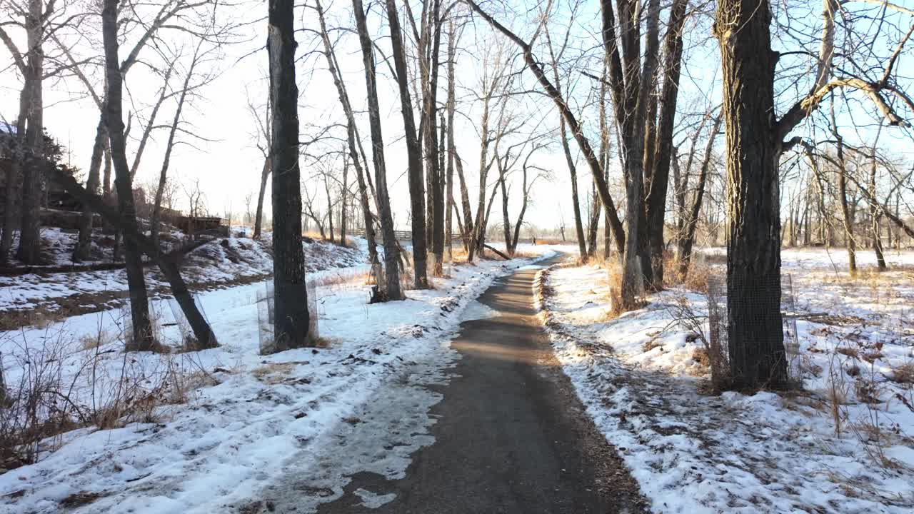 A winding park path lined with bare trees and snow on the ground, depicting a serene winter landscape under bright daylight