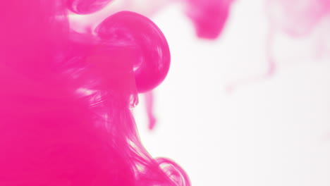 pink paint or dye dropped into water against white background to create swirling colourful smoke background