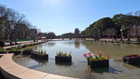 time-lapse of a park with a pond and flowers