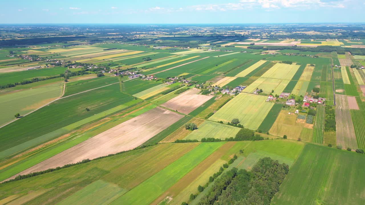 Abstract geometric shapes of agricultural parcels of different crops in yellow and green colors