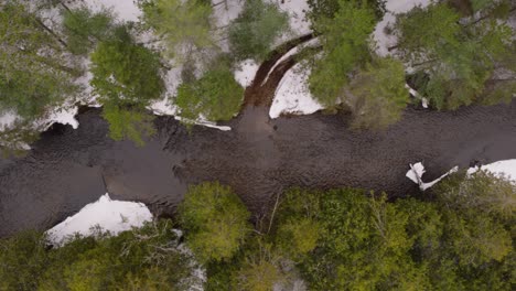 birdseye drone shot flying over winter river lined with pine trees and snow on the ground