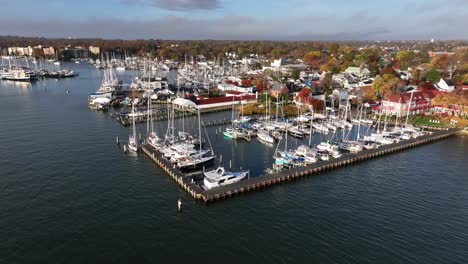 luxury yachts in harbor at autumn golden hour