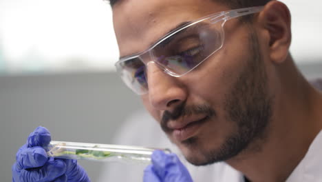 biologist holding test tube with gm plant