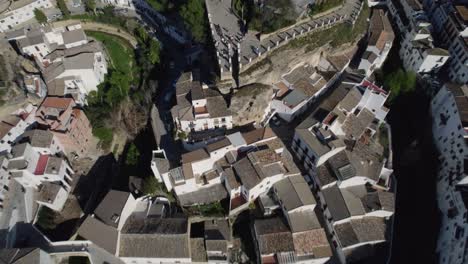 the houses are adorned with lush greenery, with rooftops covered in vibrant foliage