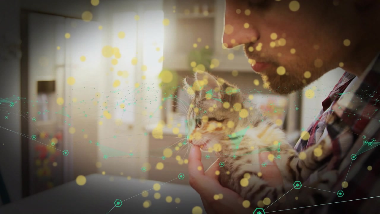 Man holding kitten kitchen leaning in, kitten sniffing, pet care bonding, bokeh network overlaying