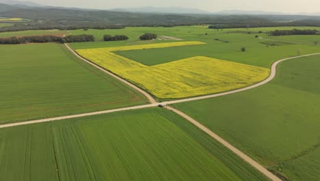 Vuelo-A-Baja-Velocidad-Sobre-Un-Campo-Perfectamente-Cultivado-De-Cruce-De-Carreteras-Verdes