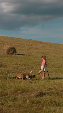 una niña corre por un campo abierto con su perro en la correa mientras su hermano la sigue, se detienen cerca de la madre, que hace gestos para que el perro se vuelva, la cálida luz del sol, las balas de heno y el cielo azul