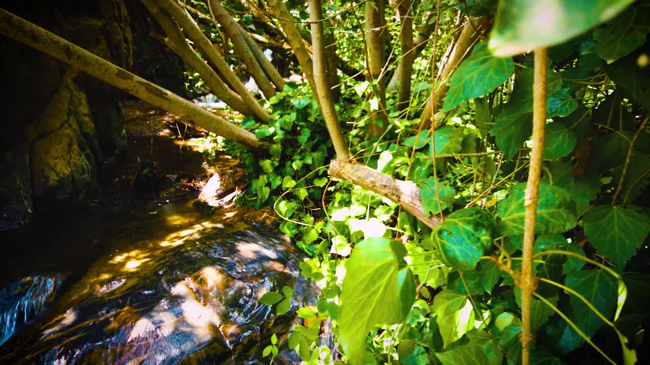 muy hermosa cascada con la luz del sol que pasa a través de las hojas de los árboles en argelia