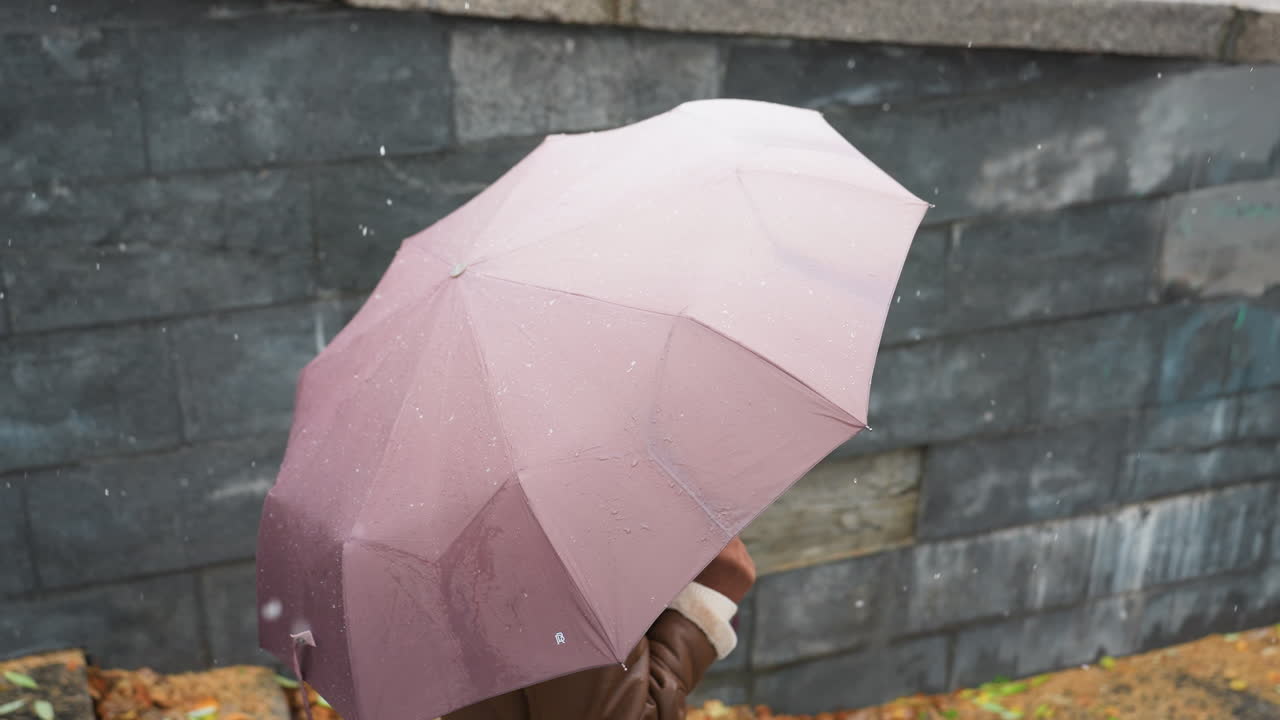 Lady holding umbrella over her head, wearing knit cap, brown shearling jacket, black trousers, walking in snowfall with colorful autumn leaves scattered on ground, outdoors in urban setting