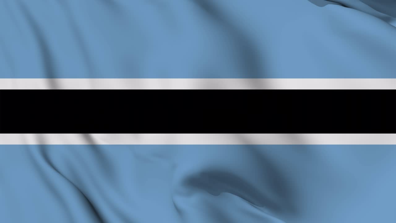 보츠와나의 발을 흔들고 있는 애니메이션