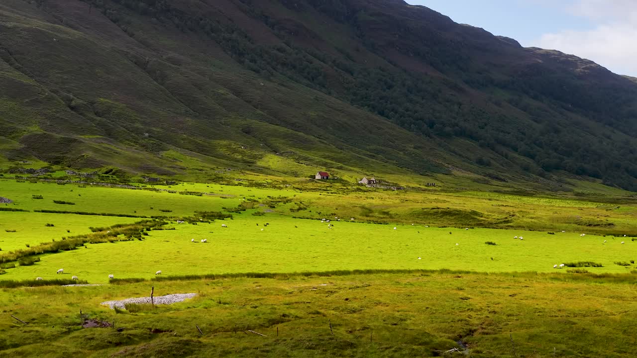 La telecamera effettua una lenta panoramica su un verde pascolo di una valle, pecore al pascolo, montagne suggestive, luce soffusa