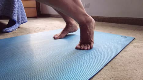 close up of female doing exercise workout on a mat