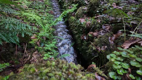 Toma-En-Cámara-Lenta-De-Agua-Dulce-En-El-Sistema-Levada-De-La-Vía-Fluvial-En-La-Isla-De-Madeira