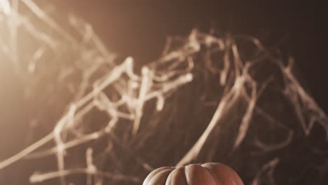 Video-of-halloween-pumpkin-with-spider's-web-and-copy-space-on-brown-background