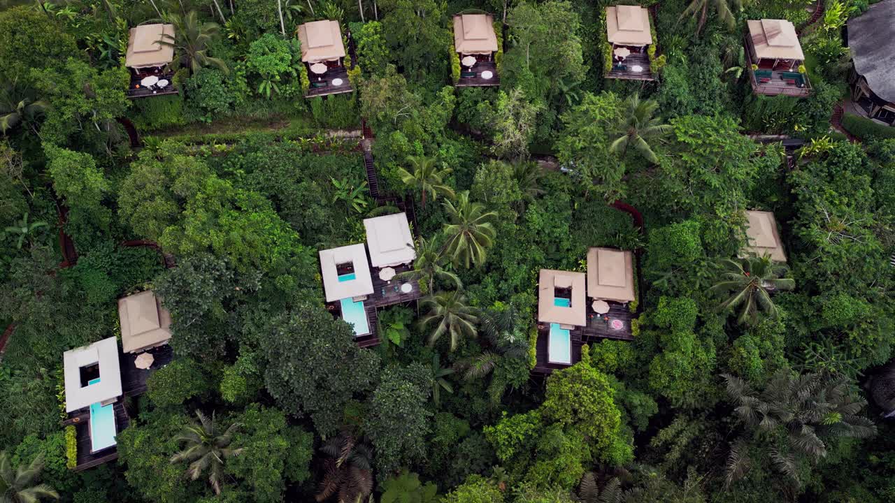 Cinematic view of Ubud jungle glamping with spacious tents, private pool areas, and shaded decks, surrounded by dense tropical foliage that highlights the calm and exclusive atmosphere of this Bali