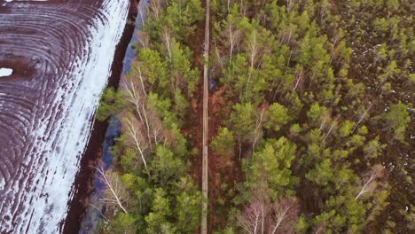 establisher bird's view aerial of swamp landscape with boardwalk, rising