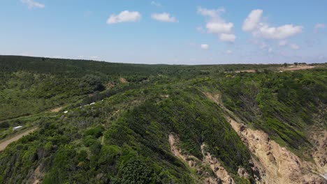 drone-rising-from-the-forest-and-seeing-the-sea