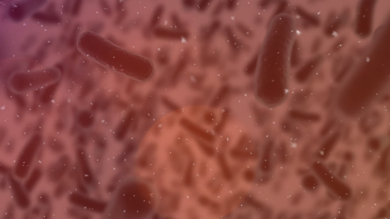 animación de células en movimiento sobre fondo rojo