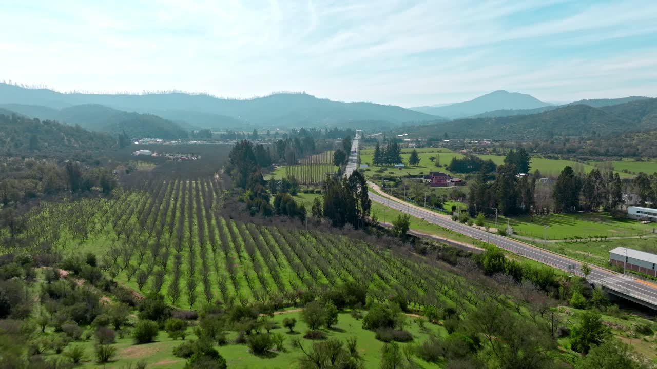 空中景觀綠色田野風景樹木山脈道路智利日