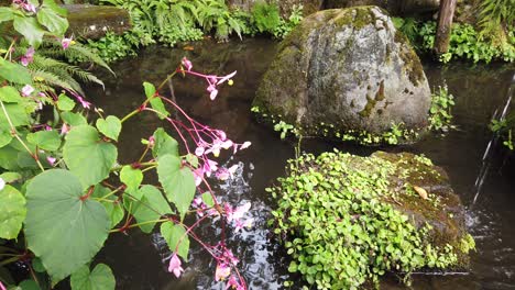 Entspannender-Wasserbrunnen-Im-Japanischen-Zen-Meditationsgarten-Mit-Steinen,-Blumen-Und-Bambuswasserfällen