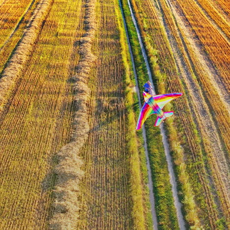 lovers with a flying kite in a sunny summer day. young couple having fun with colorful kite in a form of a plane on the field background. aerial view.