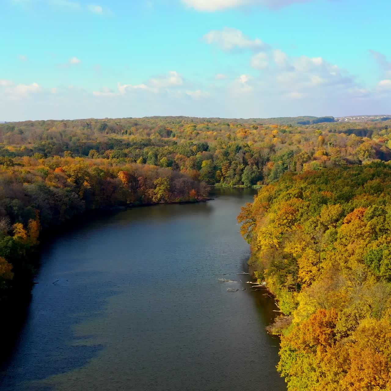 Golden yellow autumn forest aerial shot. Seasonal outdoor trees landscapes