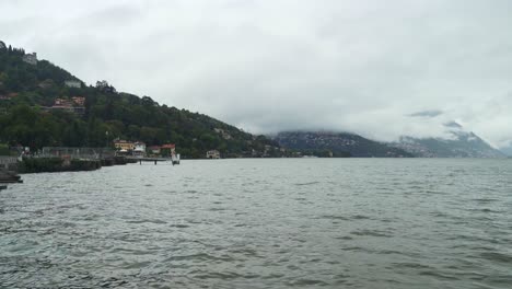 Trees-Growing-on-the-Coast-of-Lake-Como