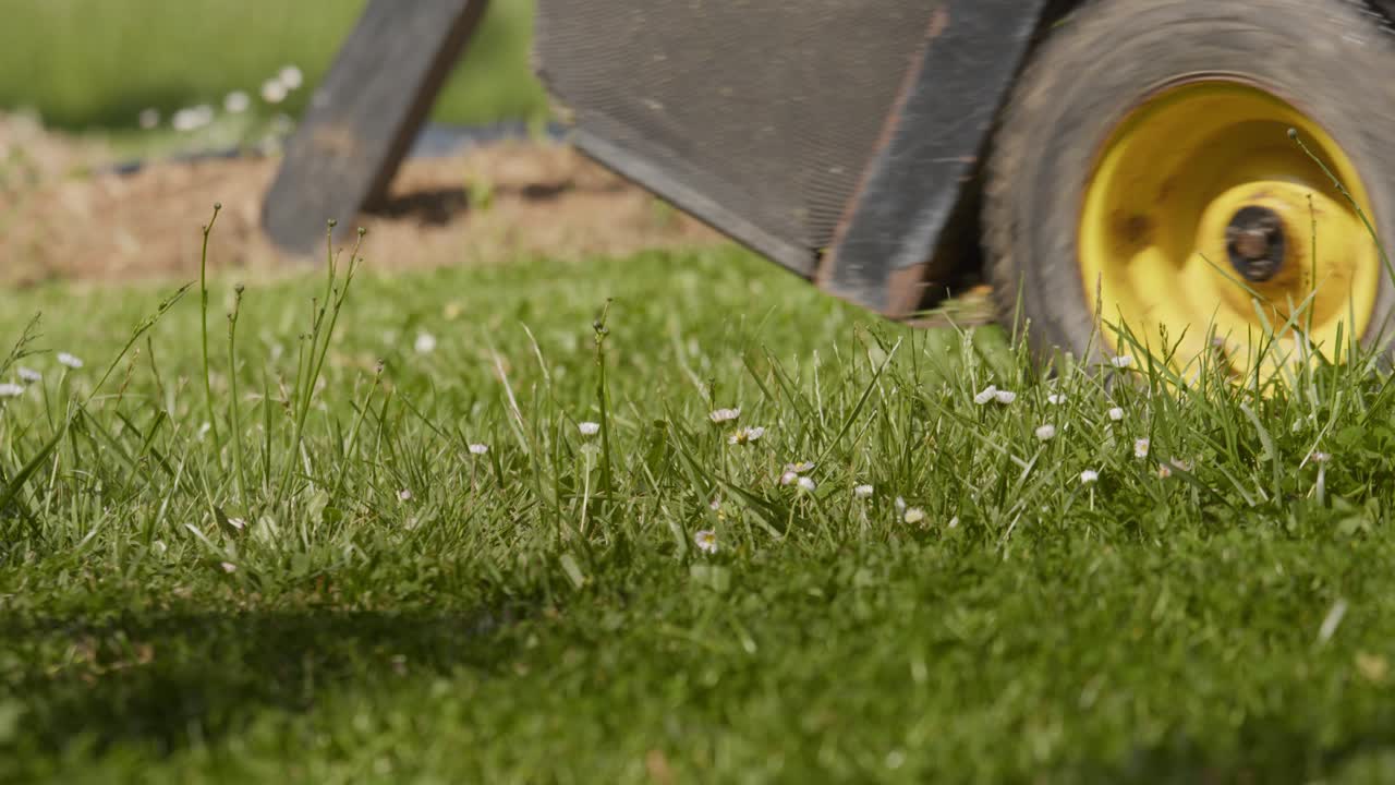 잔디 ⁇ 기 트랙터로 정원 잔디를 자르는, 낮은 각도 시야