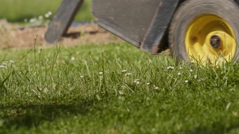 cutting garden grass with lawn mower tractor, low angle view