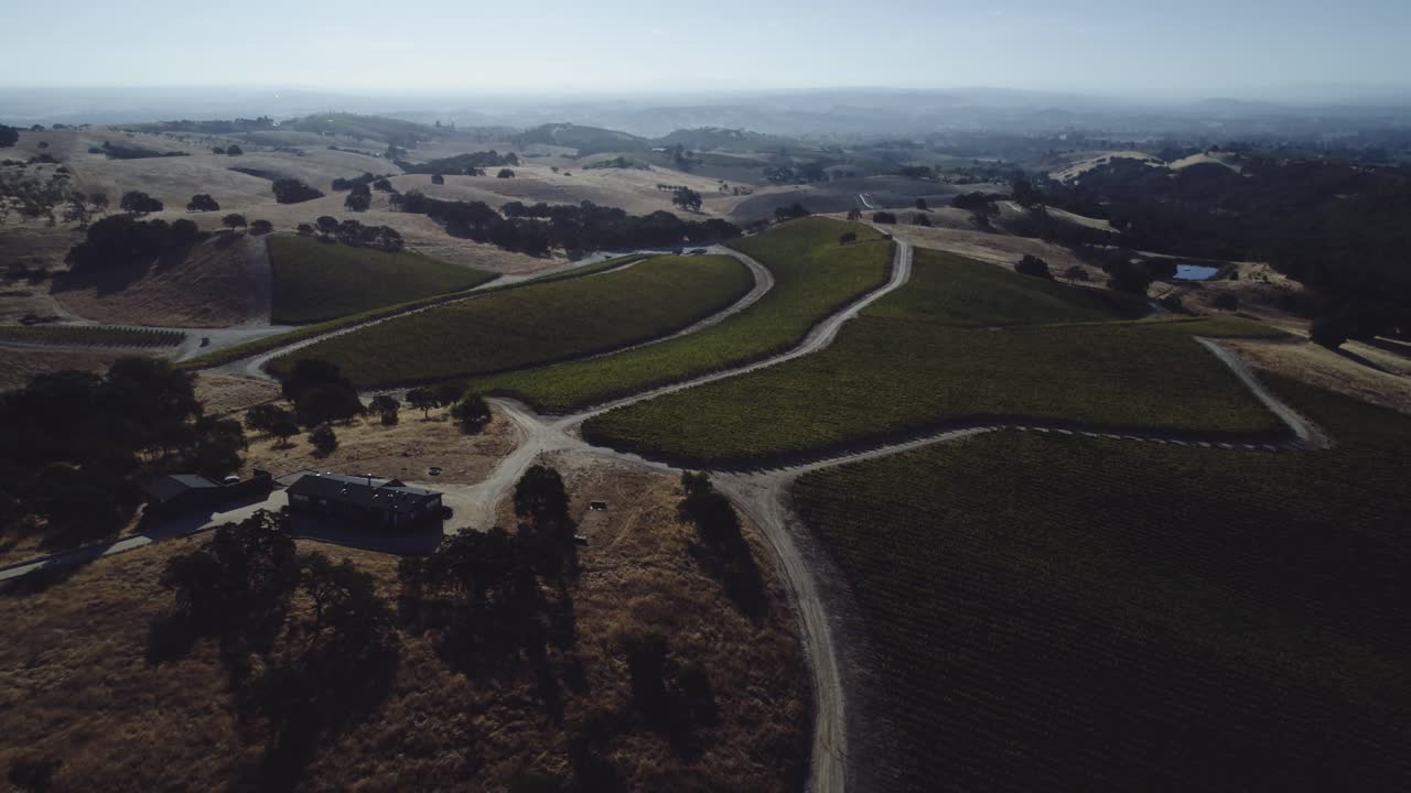 Aerial View of a Vineyard in a Rolling Hills Landscape