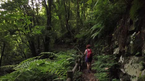 a shot following a female hiker walking on a narrow path with a fence