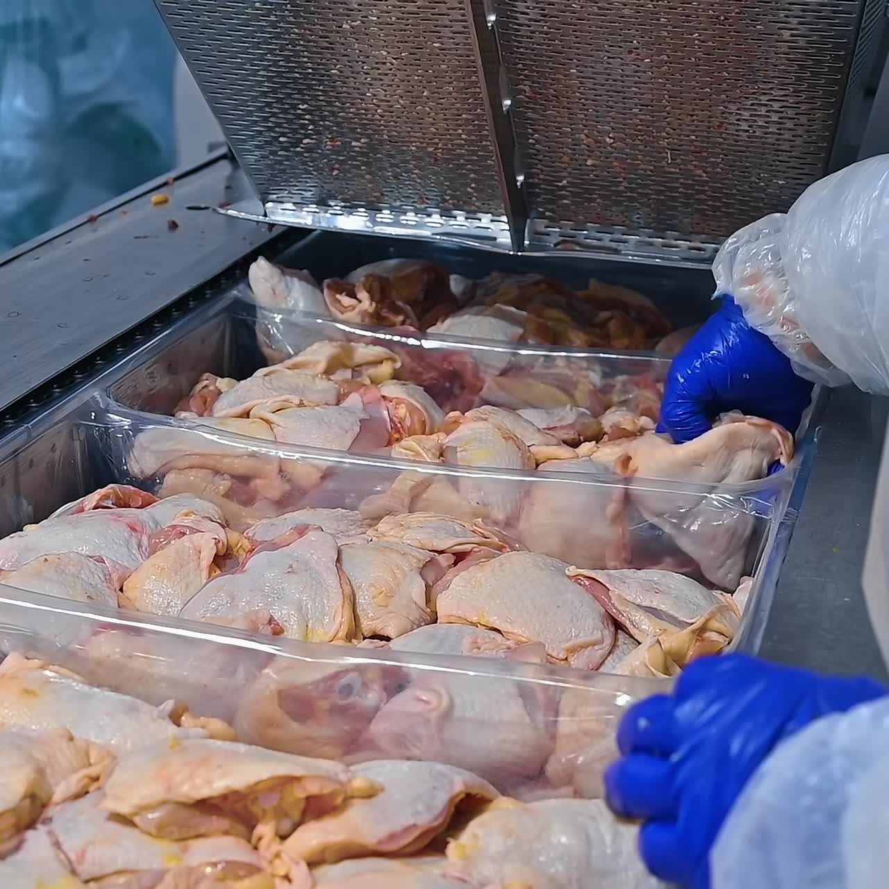 Raw chicken meat production. Worker laying chicken parts in special containers in refrigerator. Poultry processing industry