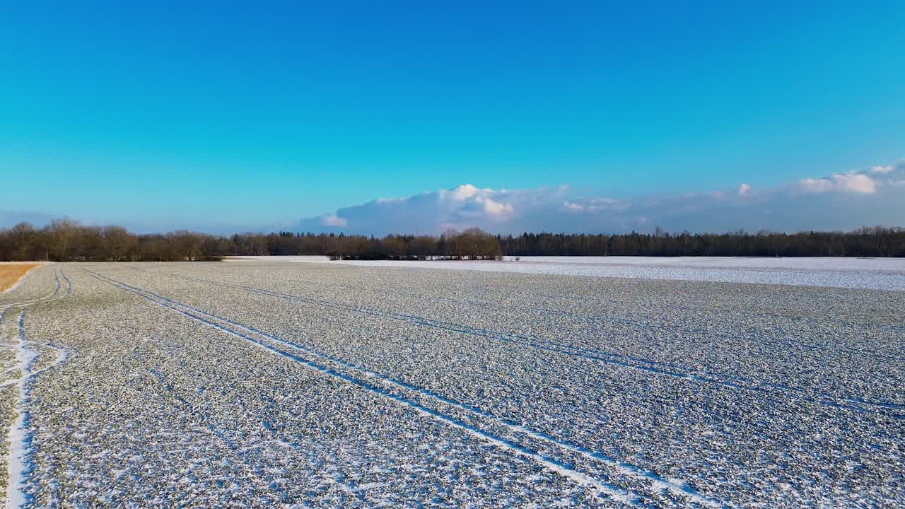 은 겨울 아침, 눈 인 농장과 은 파란 하늘