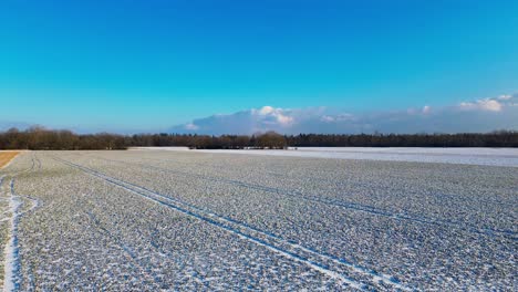 Crisp-Winter-Morning-Over-Snow-Dusted-Crop-Field-and-Clear-Blue-Sky