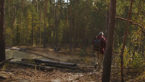 hiking in forest at autumn day alone man is walking carrying backpack and rod back view of human enjoying nature