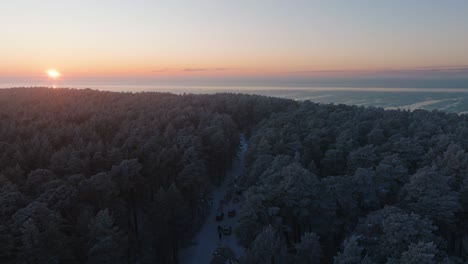 romantic aerial establishing view of nordic woodland pine tree forest, flying above the winter forest in sunset, romantic golden hour light glow, baltic sea coastline, wide drone shot moving forward