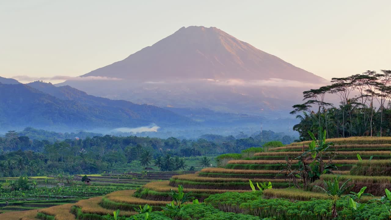 Drone aerial view of rice terraces with the light of sunrise casting warm tones. A majestic mountain looms in the background, and the peaceful, untouched scenery reflects the calm of early morning.
