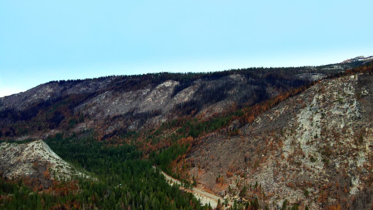 vista aérea bosque en las montañas árboles muertos en otoño