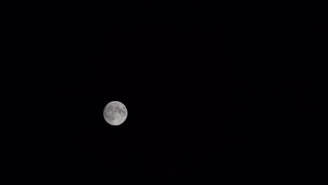 the moon in the black sky. a full moon moves across the dark sky. 4k.