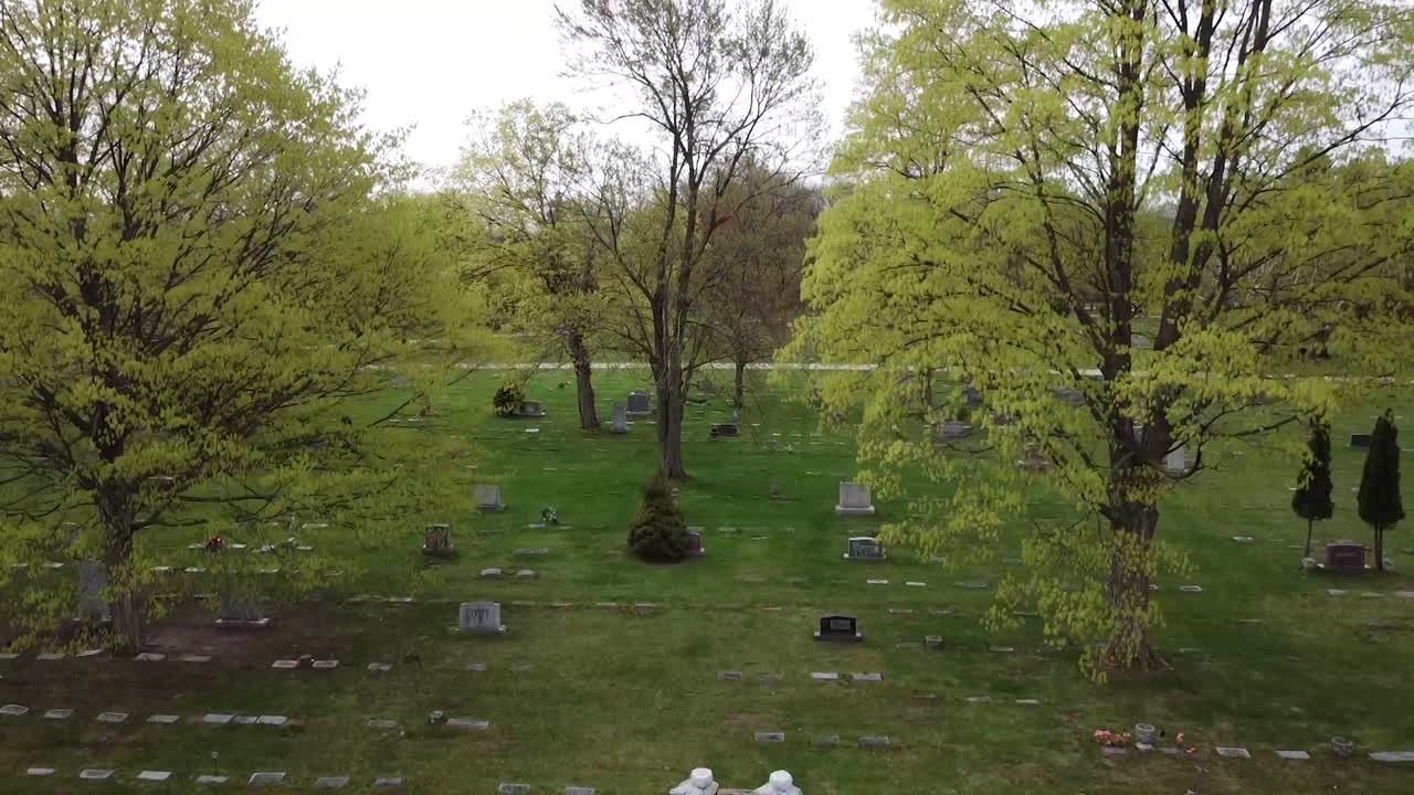 묘지 묘지 묘지 넓은  ⁇  녹색 잎나무 무덤 무덤 무덤 돌 4k