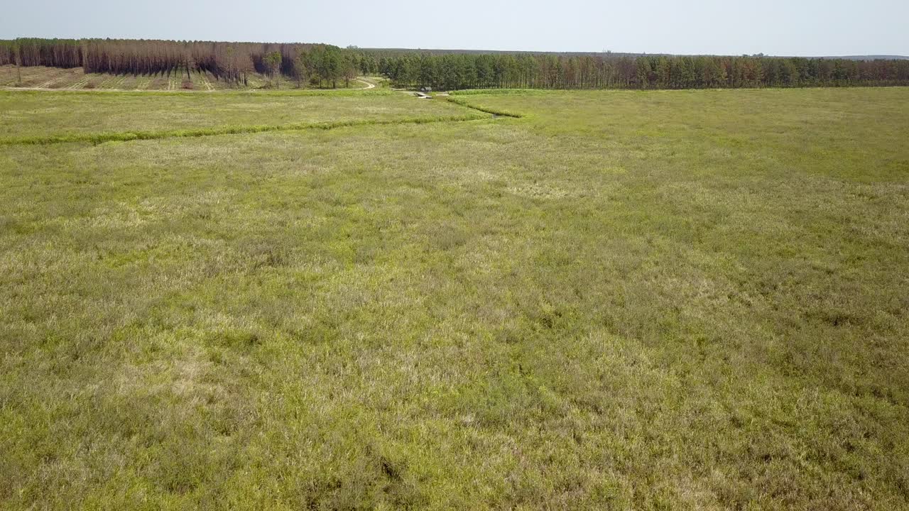 humedales del noreste de argentina disparados con drones