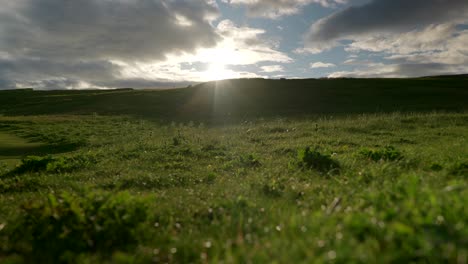 Schnelle-Wolken-Ziehen-über-Den-Himmel,-Wenn-Die-Sonne-Untergeht,-Während-Lichtstrahlen-üppige-Grüne-Grashalme-Beleuchten,-Die-Im-Wind-Im-Vordergrund-Wehen