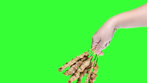 mano sosteniendo pollo satay a la parrilla en el fondo de la pantalla verde.