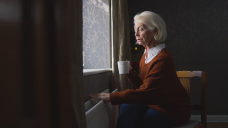 mujer de la tercera edad con una bebida caliente tratando de mantenerse caliente por el radiador en casa en el costo de la vida crisis energética