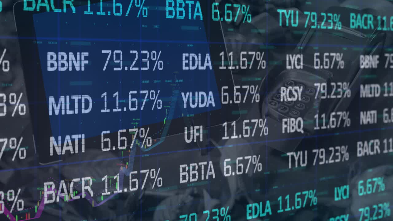 Animation of financial data processing over payment terminal
