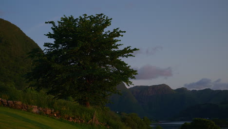 landscape shot of a tree with mountains in the background